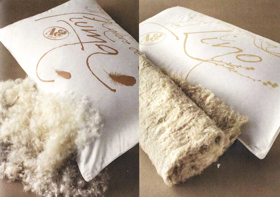 Cuscini in Piuma-Lino €68